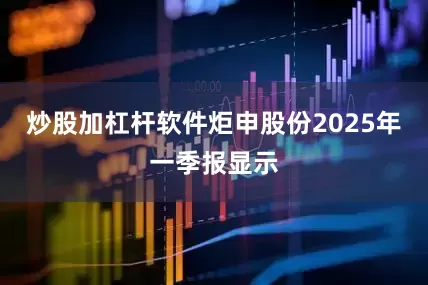 炒股加杠杆软件炬申股份2025年一季报显示