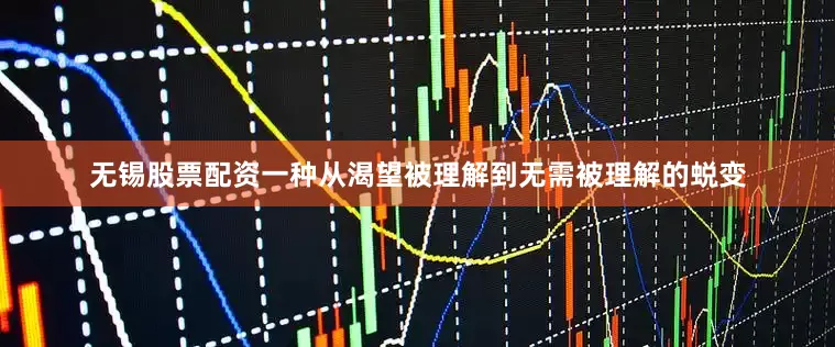 无锡股票配资一种从渴望被理解到无需被理解的蜕变