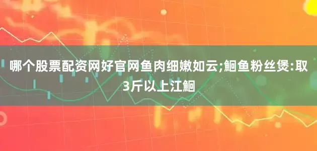 哪个股票配资网好官网鱼肉细嫩如云;鮰鱼粉丝煲:取3斤以上江鮰