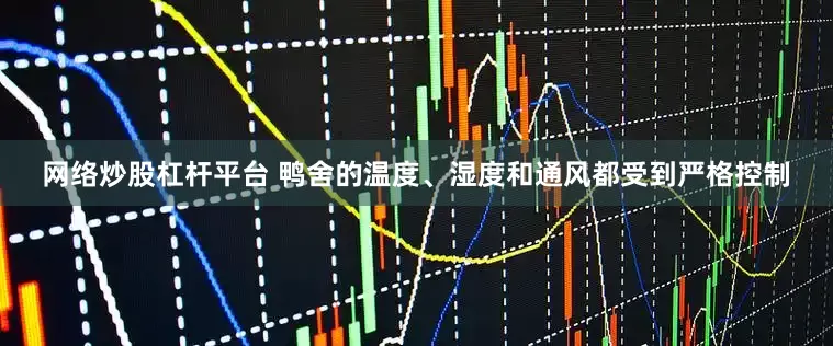 网络炒股杠杆平台 鸭舍的温度、湿度和通风都受到严格控制