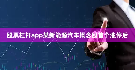 股票杠杆app某新能源汽车概念股首个涨停后